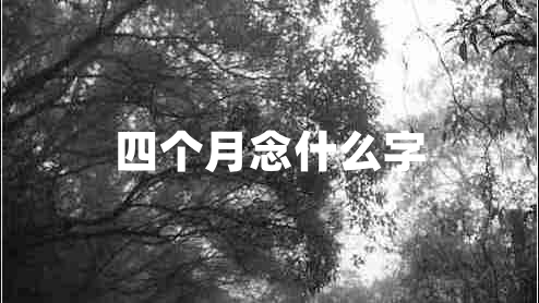 四個月念什么字