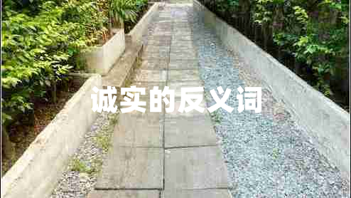 誠(chéng)實(shí)的反義詞