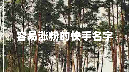 容易漲粉的快手名字
