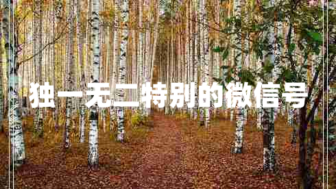 獨(dú)一無二特別的微信號