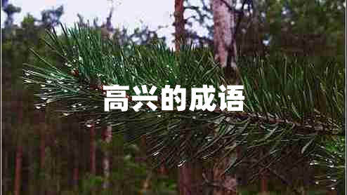 高興的成語