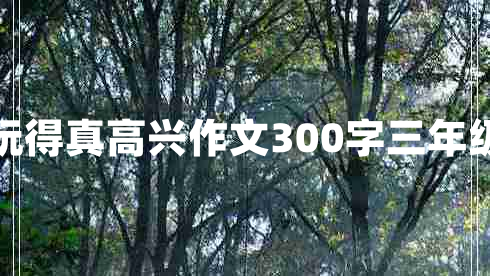 那次玩得真高興作文300字三年級(jí)上冊(cè)