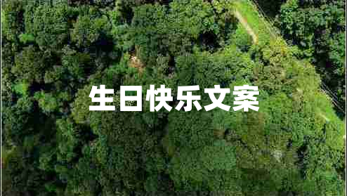 生日快樂(lè)文案