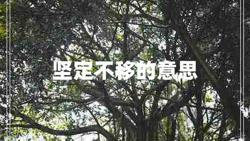 堅定不移的意思