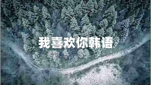 我喜歡你韓語