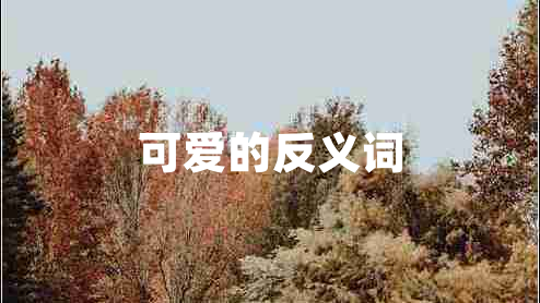 可愛的反義詞