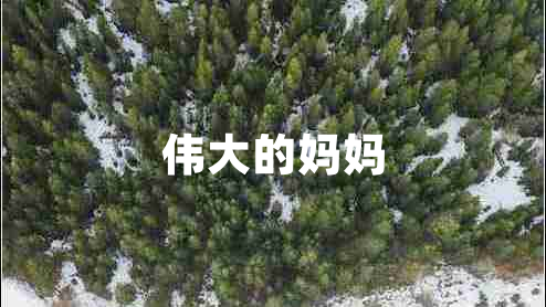偉大的媽媽