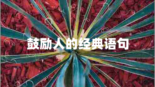 鼓勵(lì)人的經(jīng)典語(yǔ)句