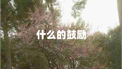 什么的鼓勵(lì)