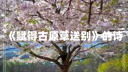 《賦得古原草送別》的詩