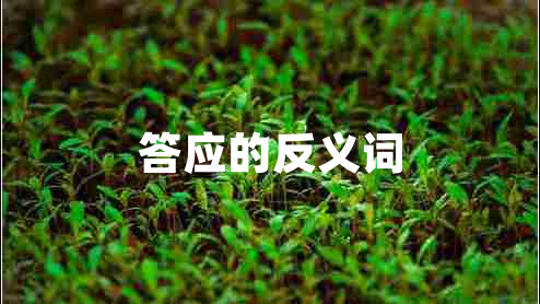 答應(yīng)的反義詞