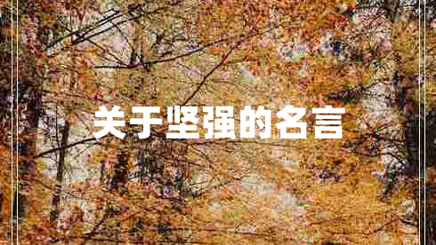 關于堅強的名言