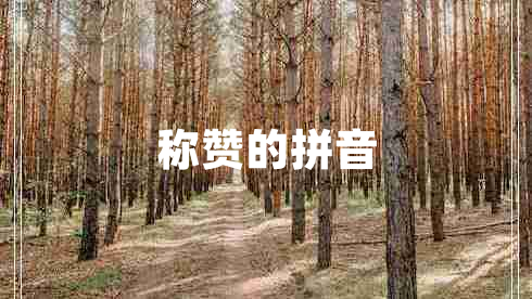 稱贊的拼音