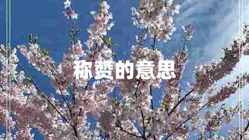 稱贊的意思