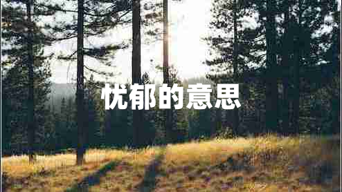 憂郁的意思