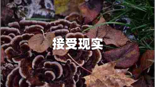 接受現(xiàn)實
