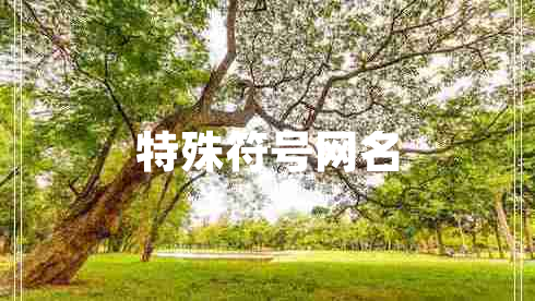 特殊符號(hào)網(wǎng)名