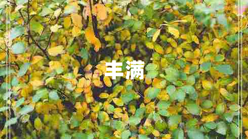 豐滿