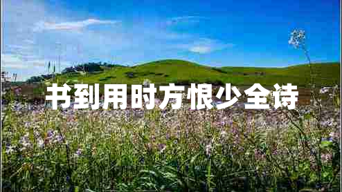 書到用時方恨少全詩