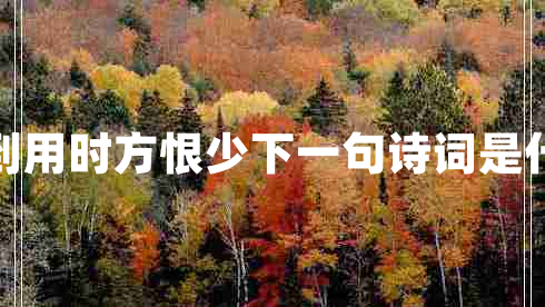 書到用時(shí)方恨少下一句詩(shī)詞是什么