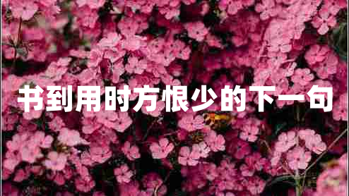 書到用時(shí)方恨少的下一句