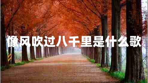 像風(fēng)吹過八千里是什么歌