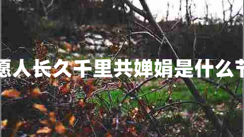 但愿人長久千里共嬋娟是什么節(jié)日