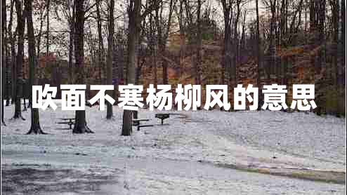 吹面不寒楊柳風的意思