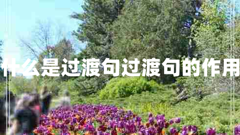 什么是過渡句過渡句的作用