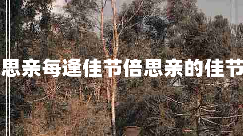 每逢佳節(jié)倍思親每逢佳節(jié)倍思親的佳節(jié)是什么節(jié)日