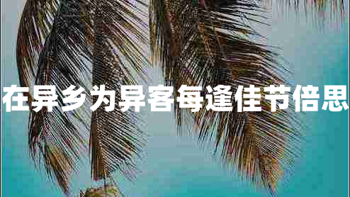 獨(dú)在異鄉(xiāng)為異客每逢佳節(jié)倍思親