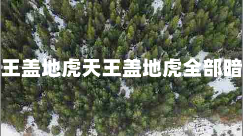 天王蓋地虎天王蓋地虎全部暗號(hào)