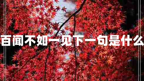 百聞不如一見下一句是什么