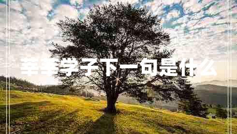 莘莘學(xué)子下一句是什么