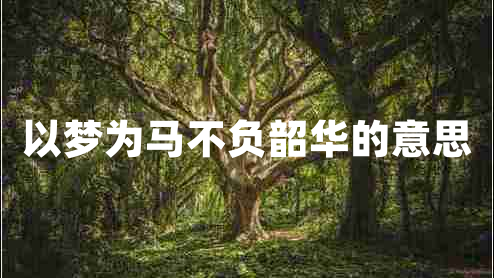 以夢(mèng)為馬不負(fù)韶華的意思