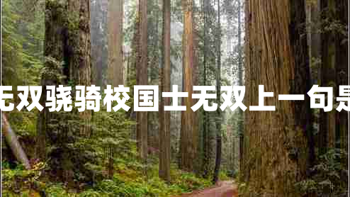 國士無雙驍騎校國士無雙上一句是什么