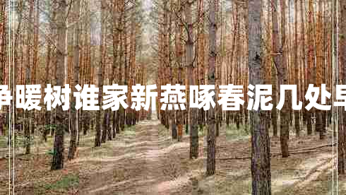 幾處早鶯爭暖樹誰家新燕啄春泥幾處早鶯爭暖樹