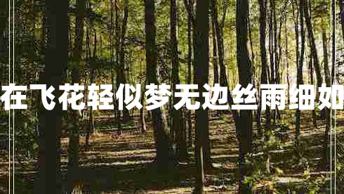 自在飛花輕似夢(mèng)無(wú)邊絲雨細(xì)如愁