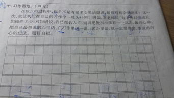 校園風(fēng)景線作文400字四年級(jí),校園風(fēng)景線作文300字四年級(jí),關(guān)于校園風(fēng)景線的作文