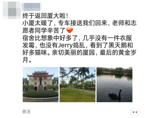 當我回到久別的校園作文