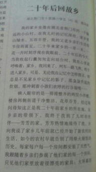 怎么寫作文未來的校園