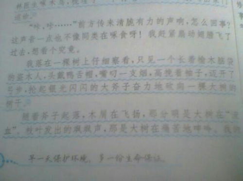 校園一角作文寫銀杏樹400字