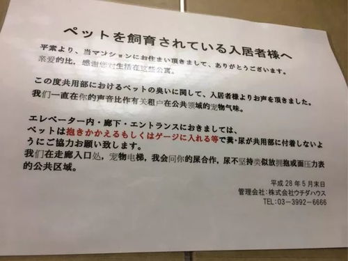 如何看待校園外賣的英語作文