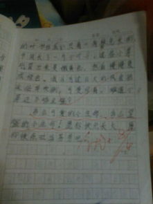 小學(xué)三級(jí)作文寫我的校園