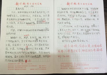 以校園和開學(xué)的作文