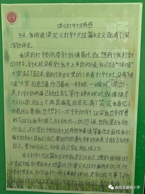 雙百工程走進校園作文