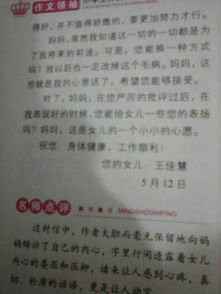 陽光校園主題作文450