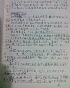 校園里的什么半命題作文怎么寫