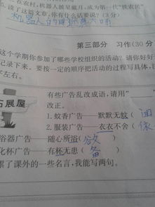 寫一次校園活動(dòng)作文400字左右
