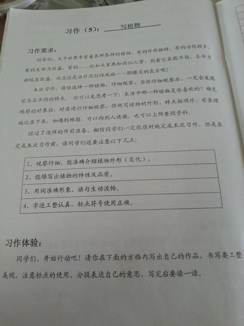 冬天的校園寫一篇作文四百字